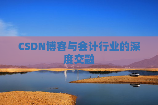CSDN博客与会计行业的深度交融