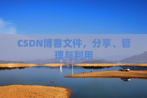 CSDN博客文件，分享、管理与利用